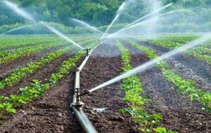 تنش آبی درمنطقه لیشتروخیرآبادگچساران وجودندارد