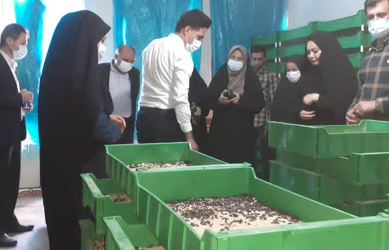 بازدید تیم تسهیلگری منظومه روستایی از روند اجرای طرح پرورش کرم میلورم در روستاهای گچساران