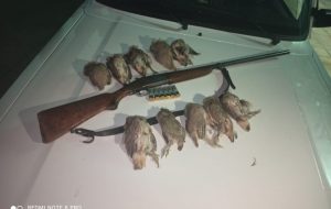 دستگیری ۴نفرشکارچی غیرمجازدرگچساران