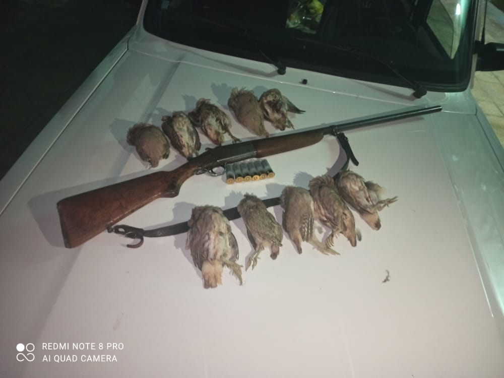 دستگیری ۴نفرشکارچی غیرمجازدرگچساران