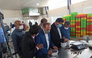 بازدیدمعاون اقتصادی استاندارازطرح های اقتصادی گچساران