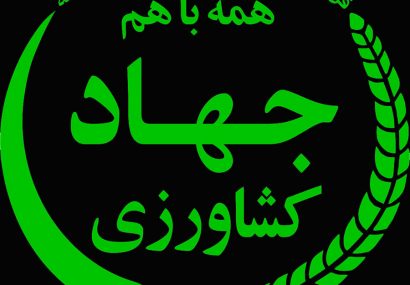 درخواست‌های رئیس جهاد کشاورزی کهگیلویه و بویراحمد از وزیر/معتمدی: استان انبار ۱۲۰۰ تنی نیاز دارد