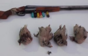 دستگیری ۳ نفر شکارچی غیر مجاز در گچساران