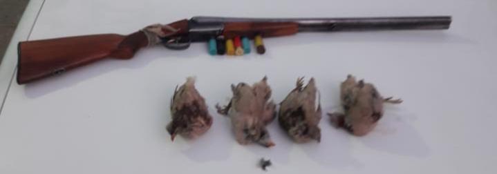 دستگیری ۳ نفر شکارچی غیر مجاز در گچساران