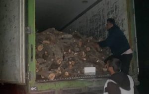 کامیون حامل هیزم قاچاق در جاده یاسوج_ شیراز توقیف شد