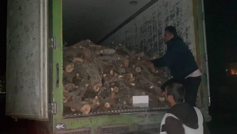 کامیون حامل هیزم قاچاق در جاده یاسوج_ شیراز توقیف شد