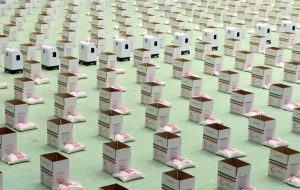 بنیاد برکت ۱۰۰هزار بسته حمایتی در کهگیلویه و بویراحمد توزیع کرد