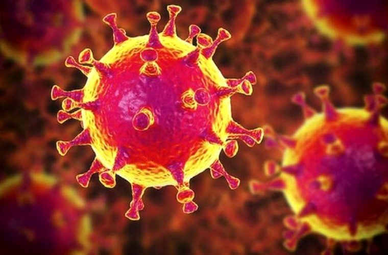 کرونا دو خانواده دیگر کهگیلویه و بویراحمدی را عزادار کرد