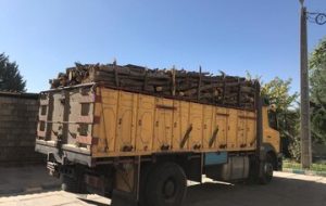 کشف ۱۵ تن چوب قاچاق در گچساران