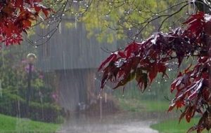 آسمان کهگیلویه وبویراحمدبارانی می شود