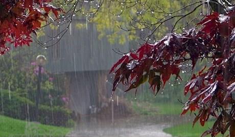 آسمان کهگیلویه وبویراحمدبارانی می شود