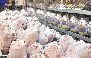 یکهزار و ۷۰۰ تن گوشت سفید در گچساران تولید شد