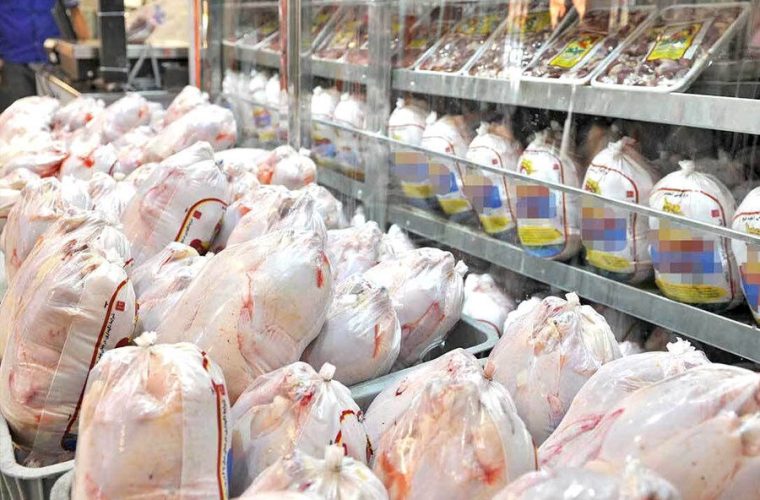 یکهزار و ۷۰۰ تن گوشت سفید در گچساران تولید شد