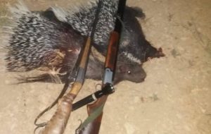 دستگیری سه متخلف شکار تشی در باشت