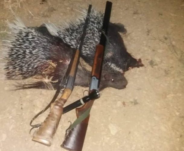 دستگیری سه متخلف شکار تشی در باشت