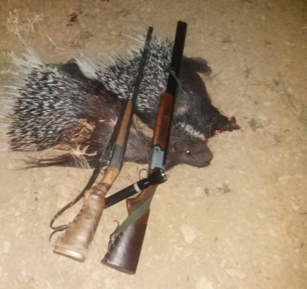 دستگیری سه متخلف شکار تشی در باشت