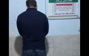 دستگیری عامل قطع درختان بلوط دشتک دیل در گچساران