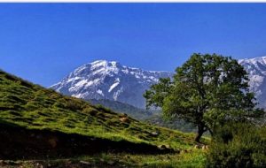 بایدها و نبایدهای کوهپیمایی