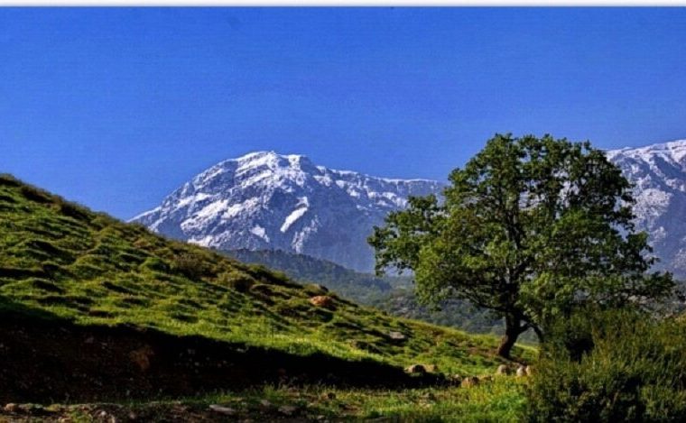 بایدها و نبایدهای کوهپیمایی