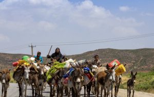 روایت کوچ عشایر کهگیلویه و بویراحمد