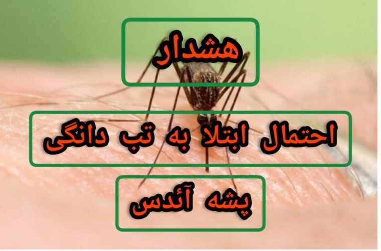 هشداررئیس دانشگاه علوم پزشکی یاسوج در خصوص بروز بیماری تب دانگی