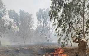 دستگیری عوامل آتش سوزی‌های اخیر در کهگیلویه و بویراحمد