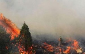 وقوع آتش سوزی در کوه سرخ گچساران