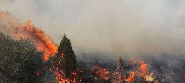 وقوع آتش سوزی در کوه سرخ گچساران