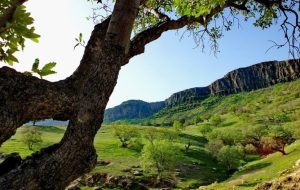 شلالدون، نگین گردشگری کهگیلویه و بویراحمد